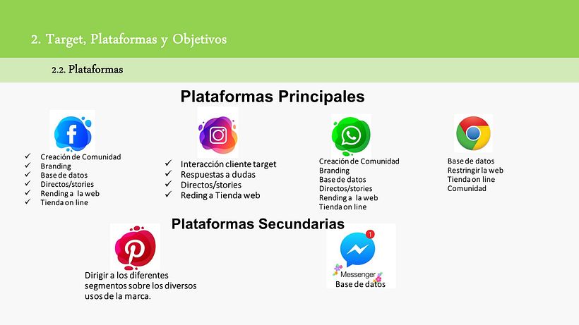 Mi Proyecto del curso: Estrategia de comunicación para redes sociales 11