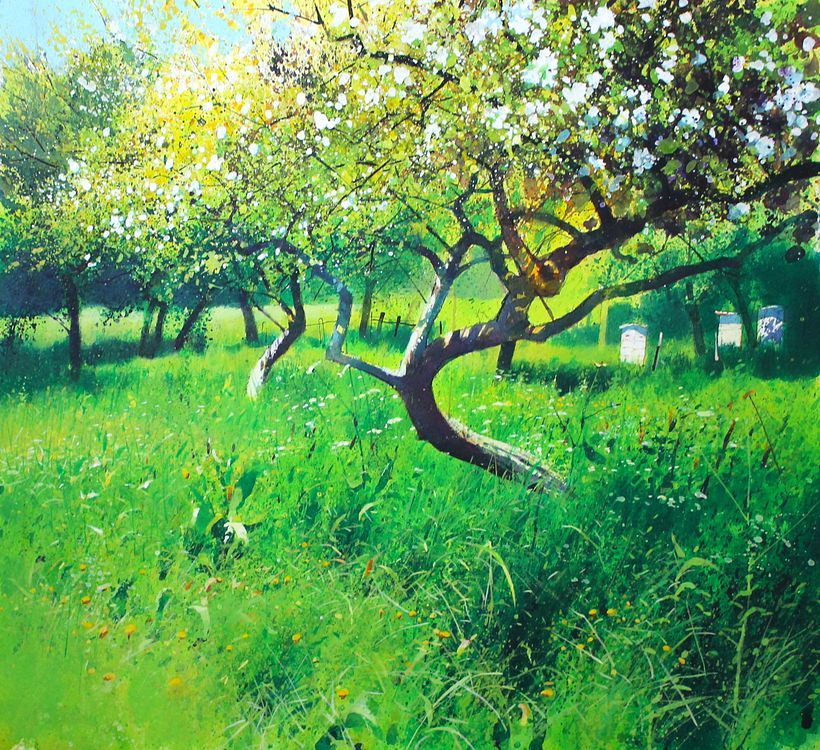 Overgrown Orchard.