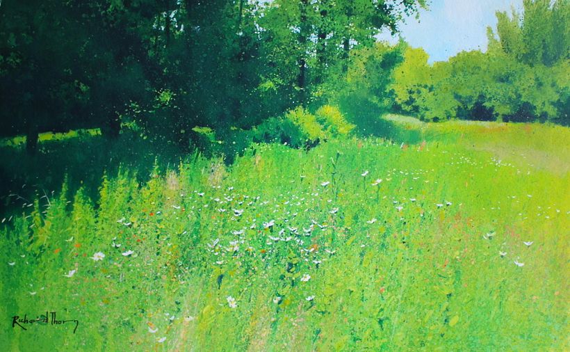 Meadow light (springtime)