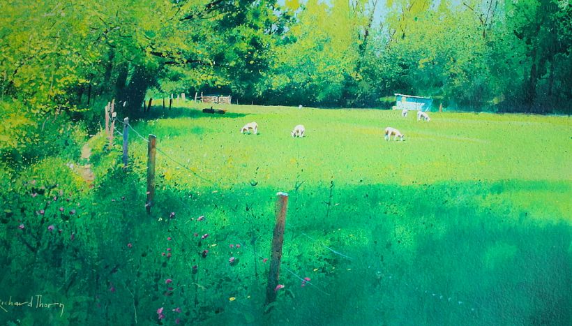 An easy afternoon along the river meadow