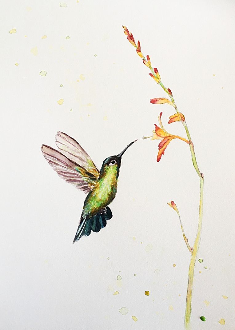 My project for course: Artistic Watercolor Techniques for Illustrating Birds 5
