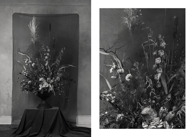 Personal: Botanical 1