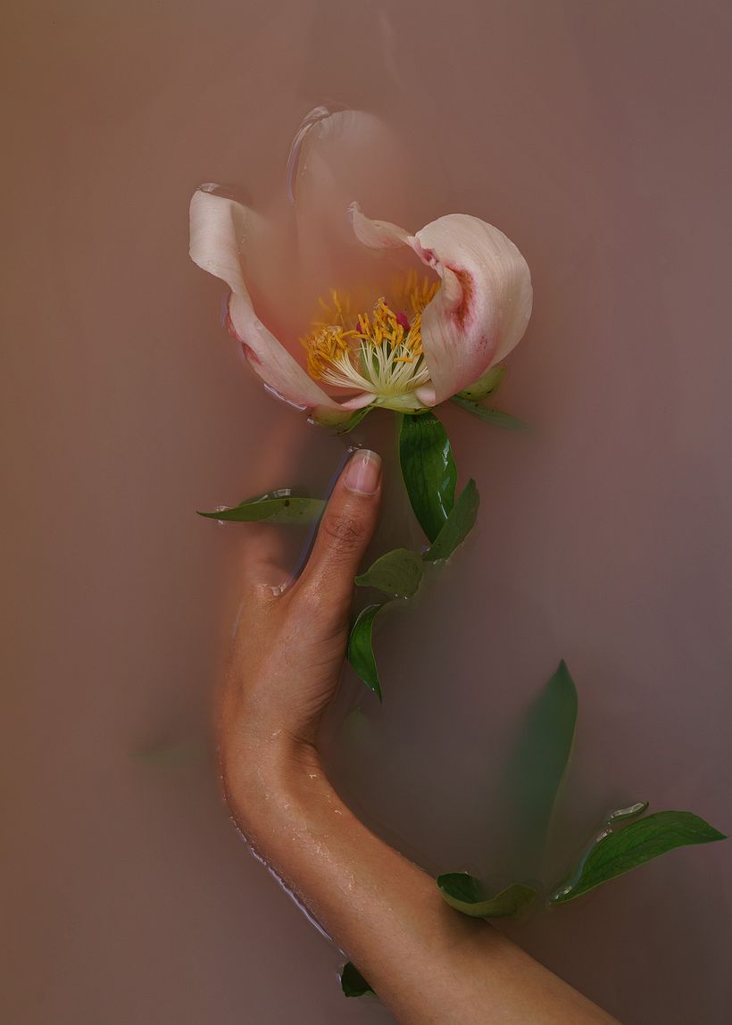 Personal: Botanical 3