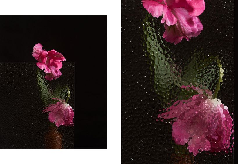 Personal: Botanical 6