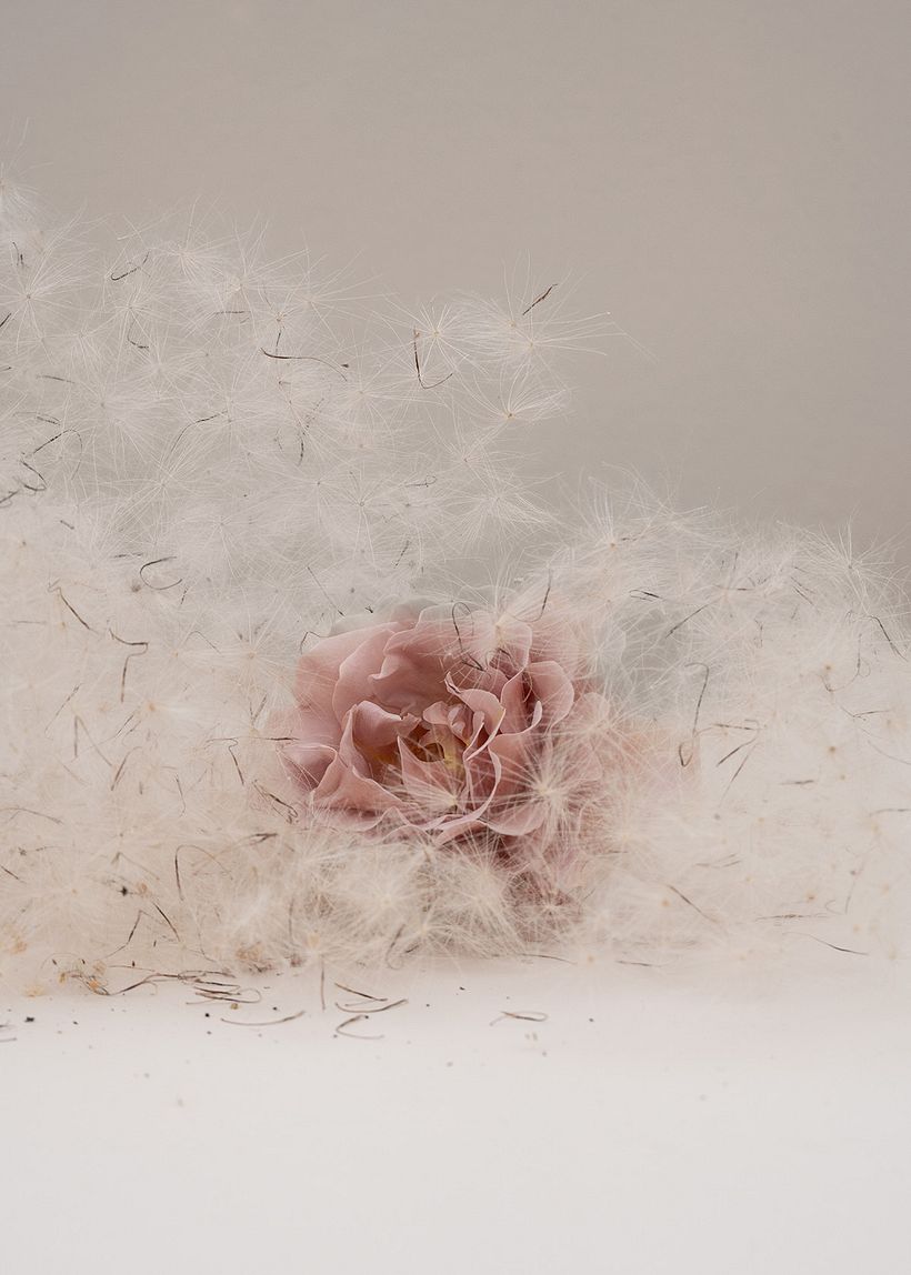 Personal: Botanical 8