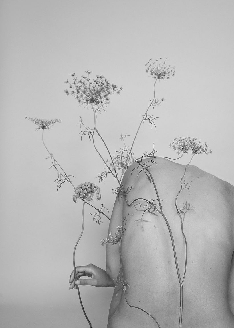 Personal: Botanical 9