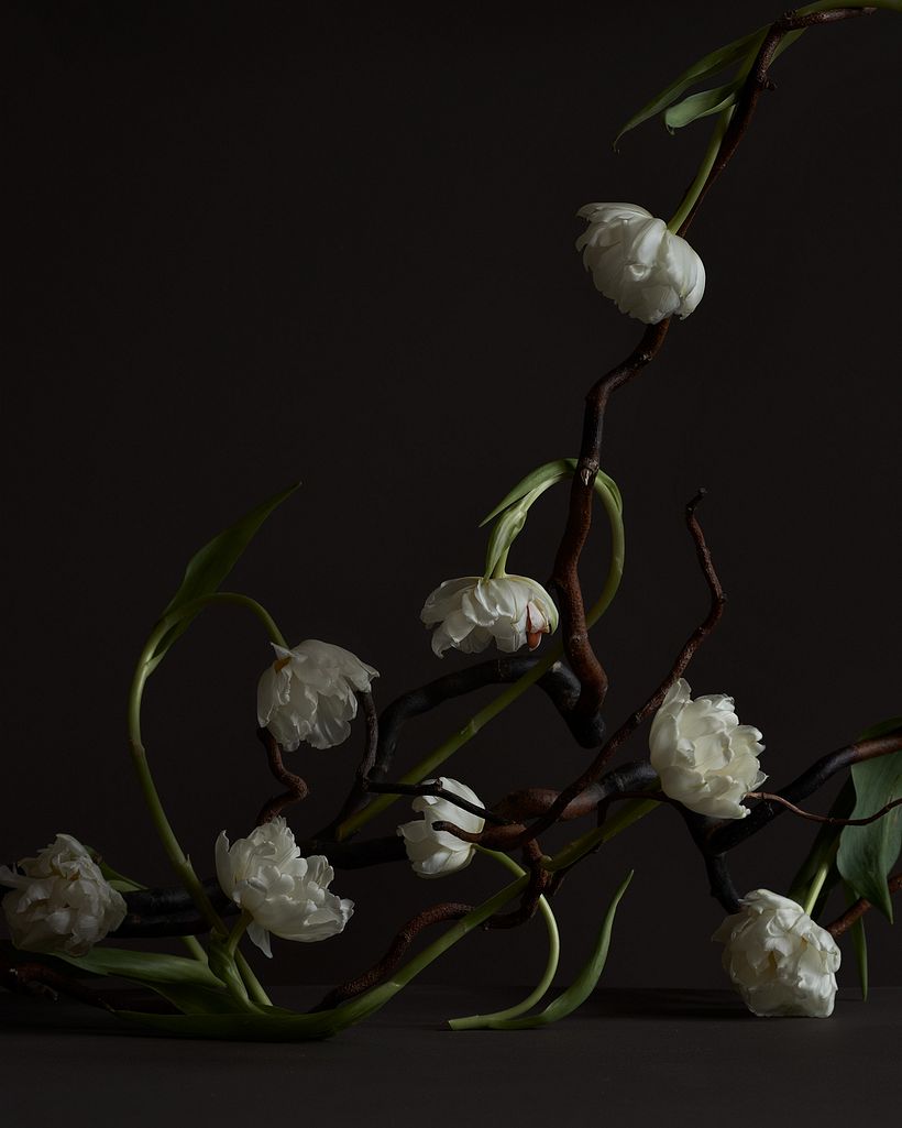 Personal: Botanical 13