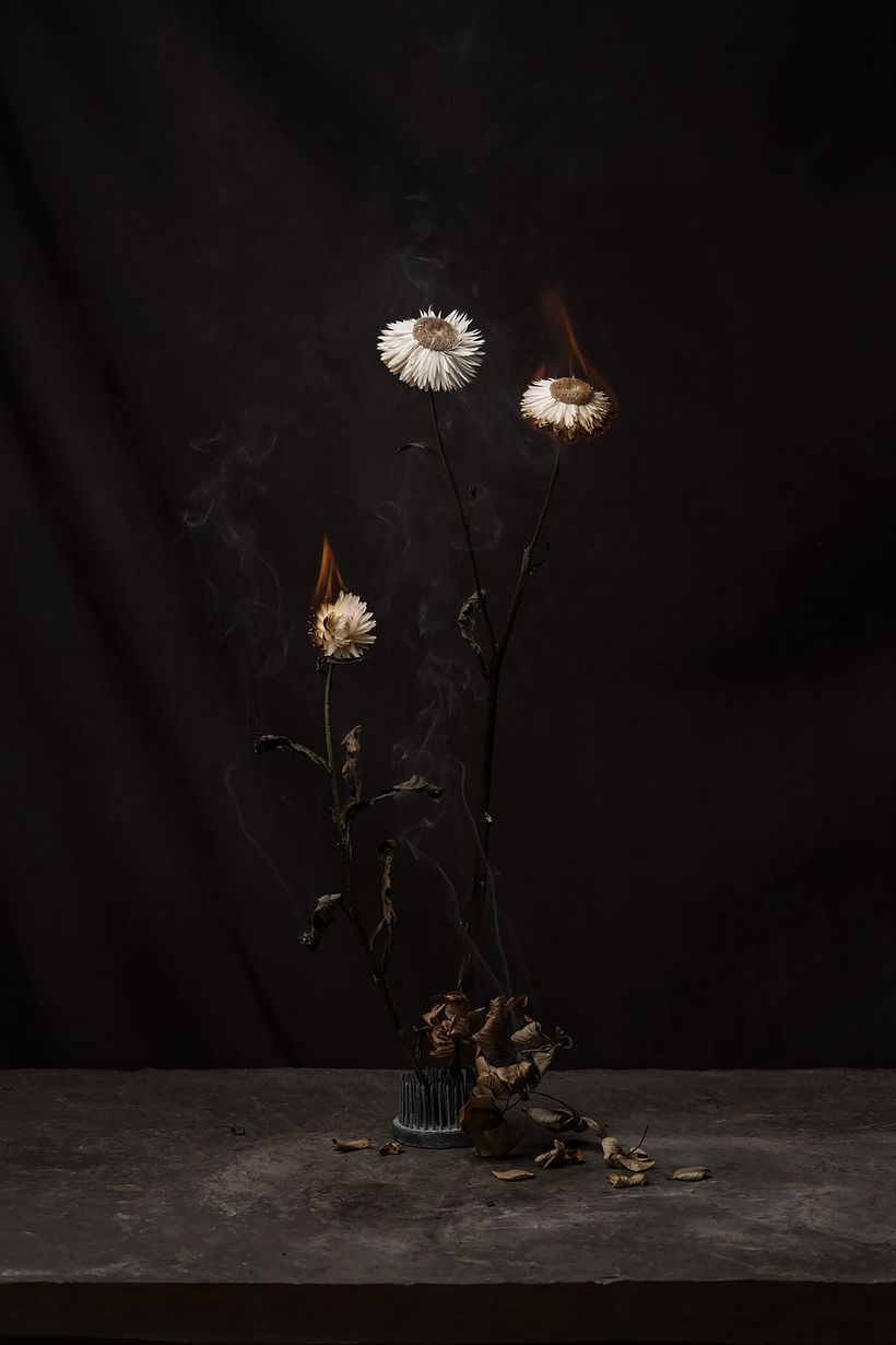 Personal: Botanical 16