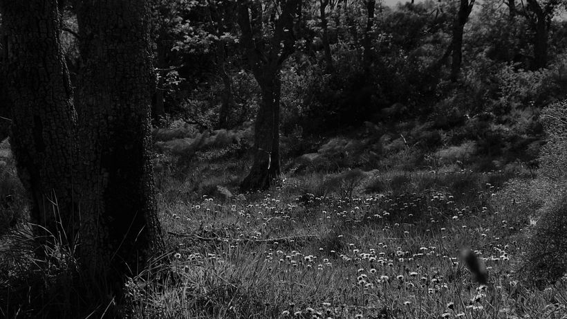 Reportage - in B&W 2