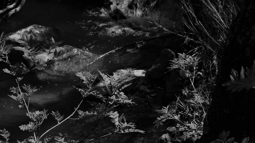 Reportage - in B&W 4