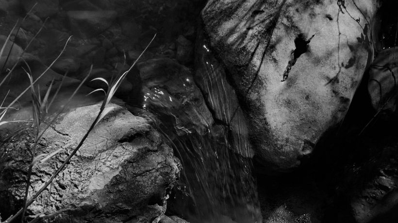 Reportage - in B&W 5
