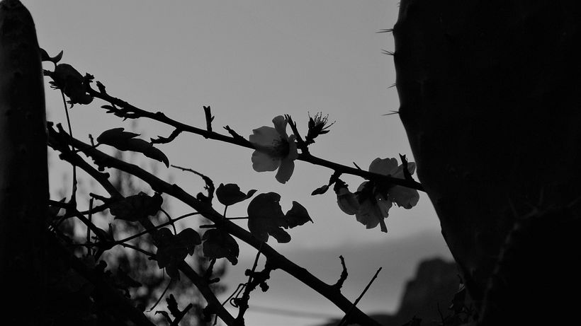 Reportage - in B&W 15