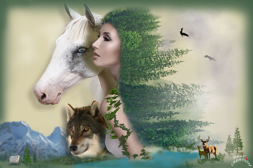 Mon projet du cours : Les secrets du photomontage et de la retouche créative 3