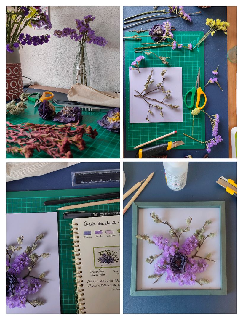 Proceso del cuadro de plantas con volumen