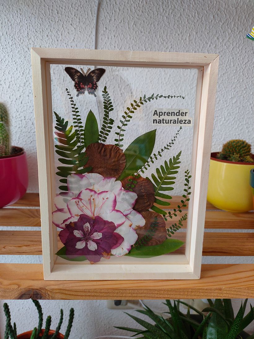 Resultado final cuadro flores prensadas II