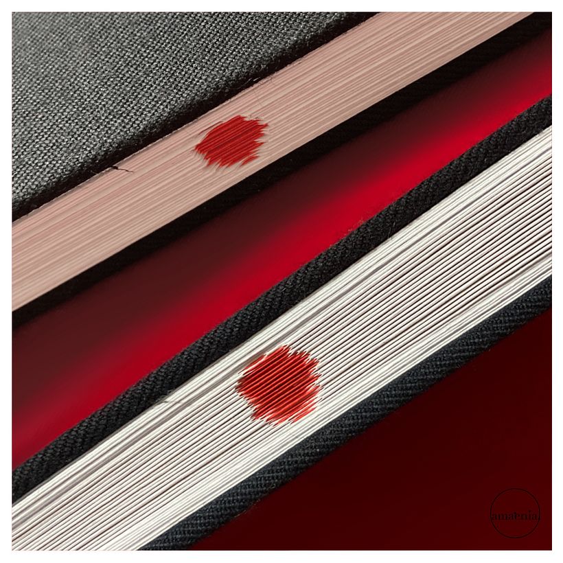 japan notebook 4