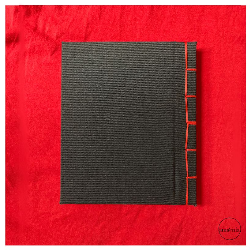 japan notebook 5