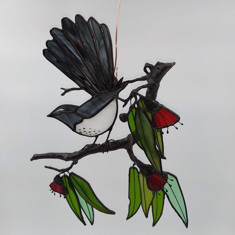 Willy Wagtail on Eucalyptus branch with blossoms 