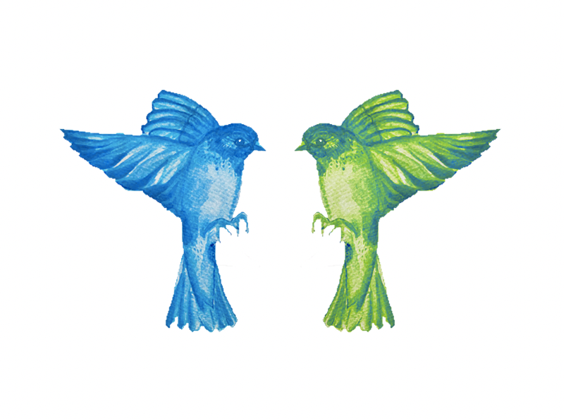 Pájaro con variación de color