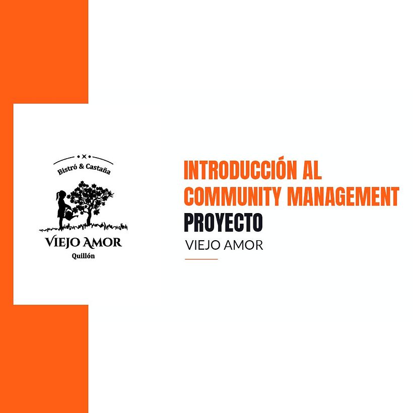 Mi Proyecto del curso: Introducción al community management 1