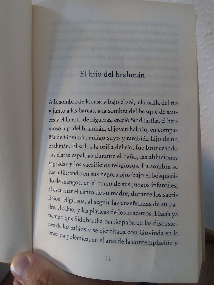 Mi Proyecto del curso:  Fragmento introductorio de la obra "Siddhartha" de Herman Hesse 2
