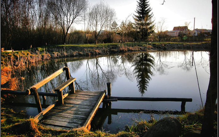 Estanque