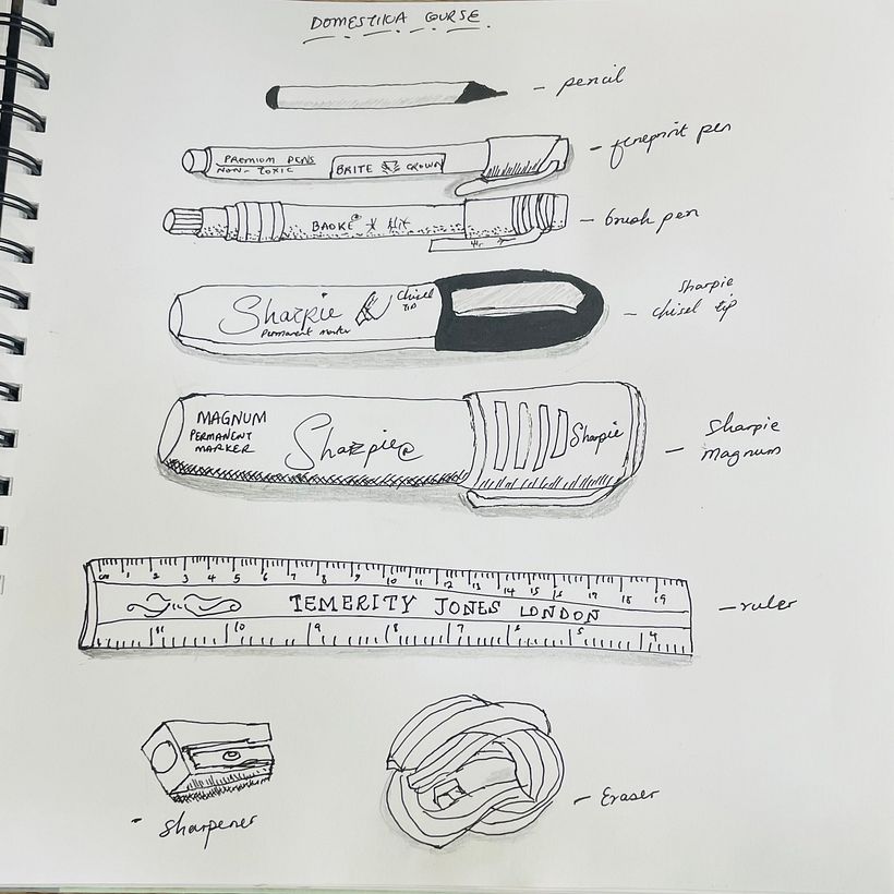 My project for course: The Art of Sketching: Transform Your Doodles into Art 2