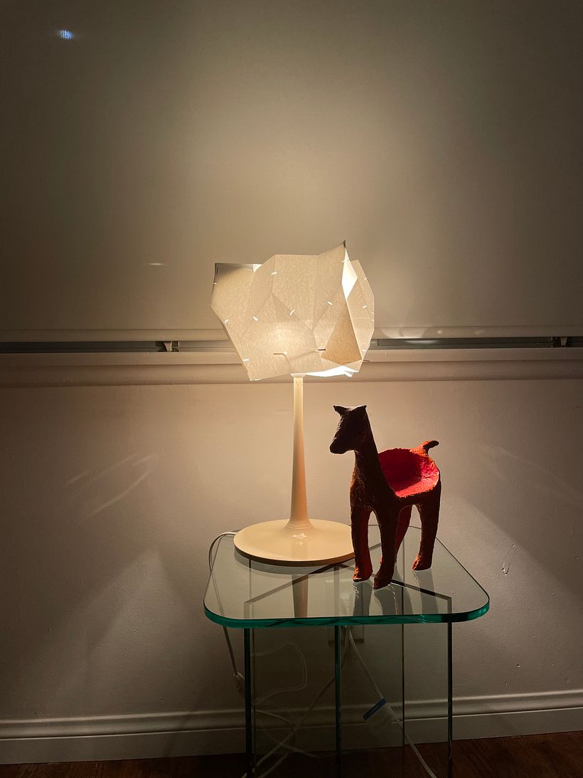 My project for course: Design Your Own Paper Lamp 1