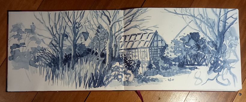 my monochrome garden