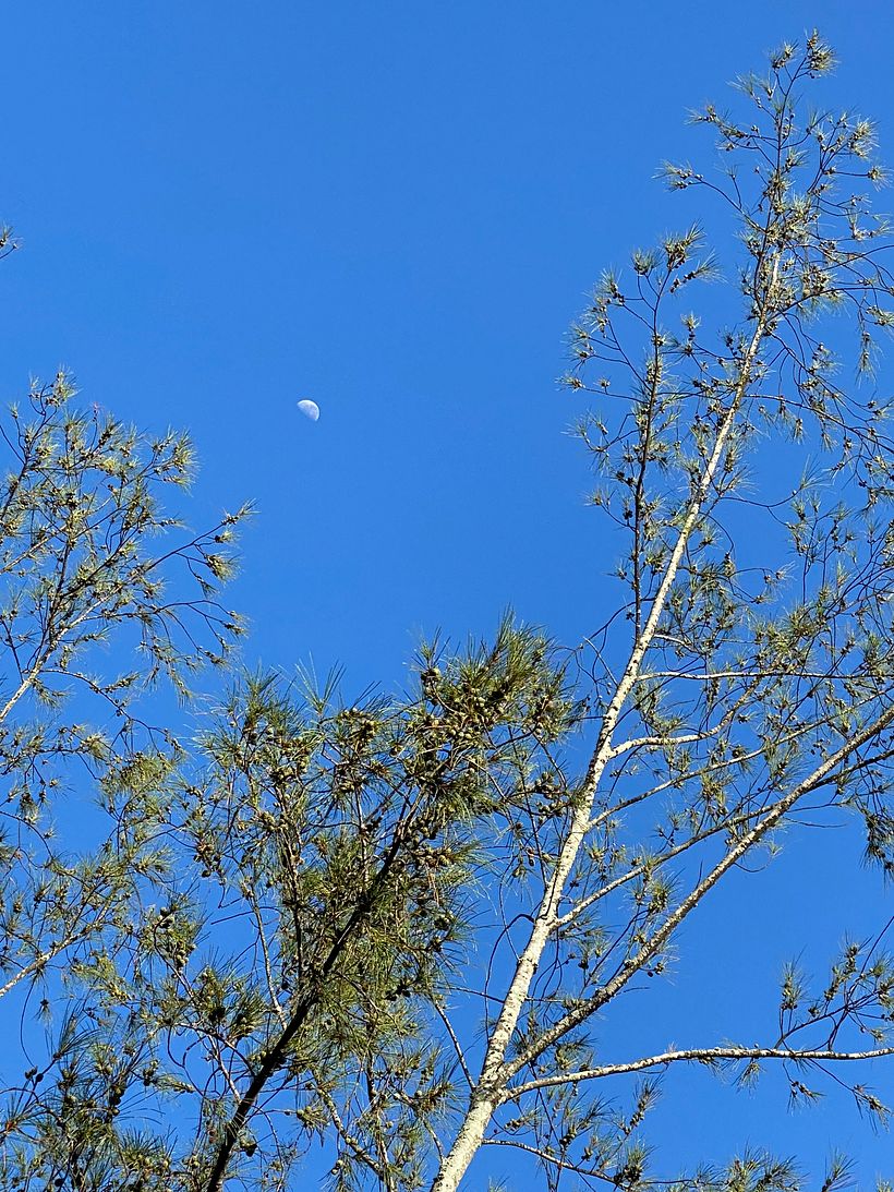 Vejo a lua no céu 