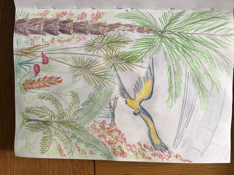 I sketched a parrot flying in the palm house, I liked this idea but thought it might be too difficult for me as a larger pic