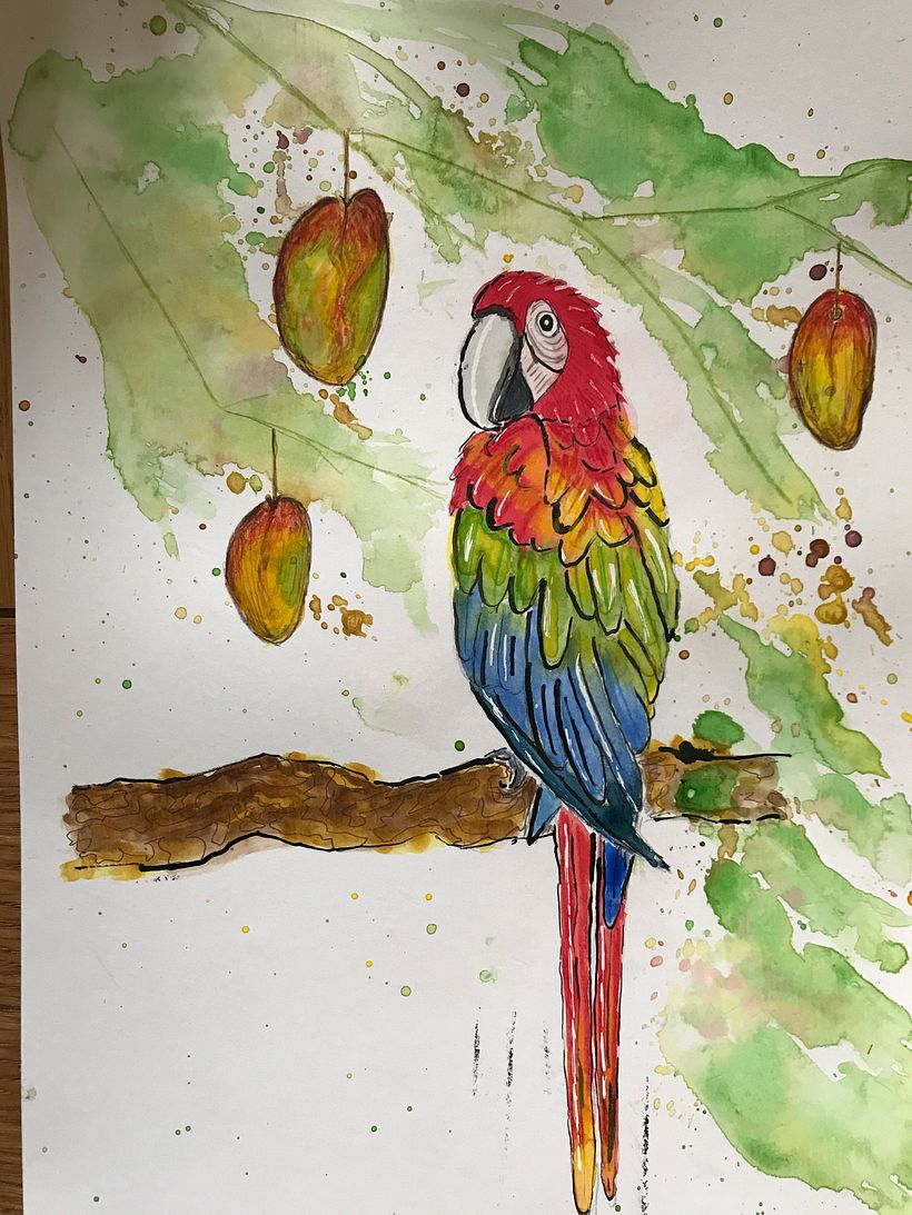 I used a feather to create an ink outline of a parrot, on A4 paper lines my be too thick, better on A3?