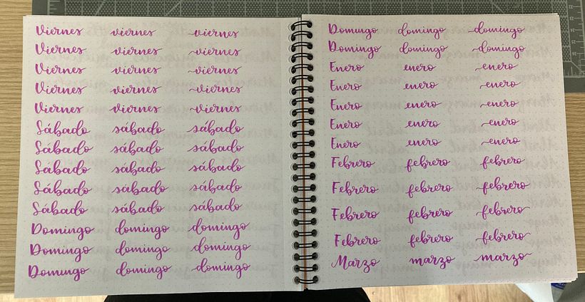 Mi Proyecto del curso: Lettering en pequeño formato 2