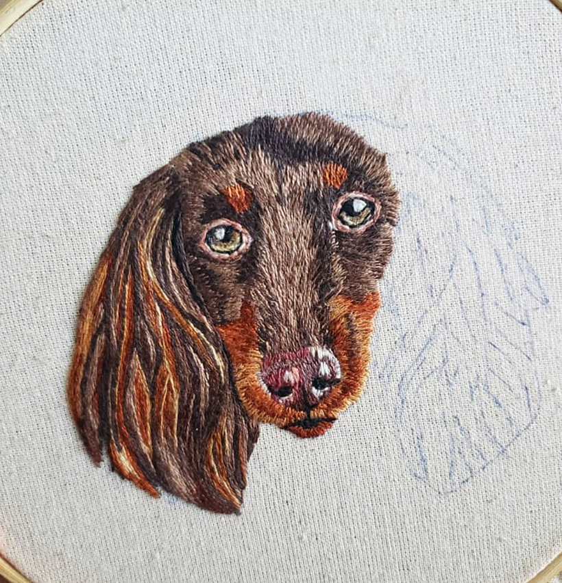 procesos puppy 1