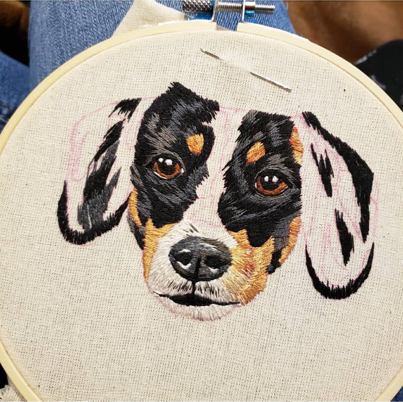 Procesos puppy 2