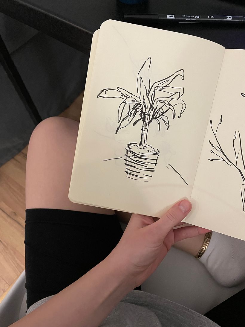 Quick sketch of some of our plants