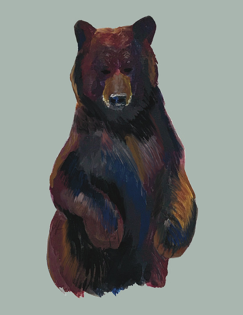 A photo study painting of an American black bear done with acrylic gouache and touched up in Procreate