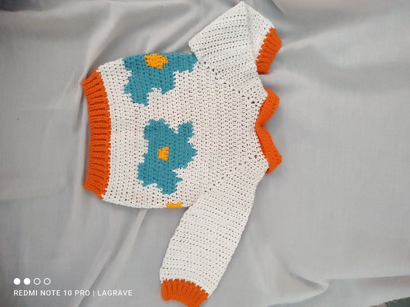 Mi Proyecto del curso: Intarsia crochet: teje tus propios tapices 3