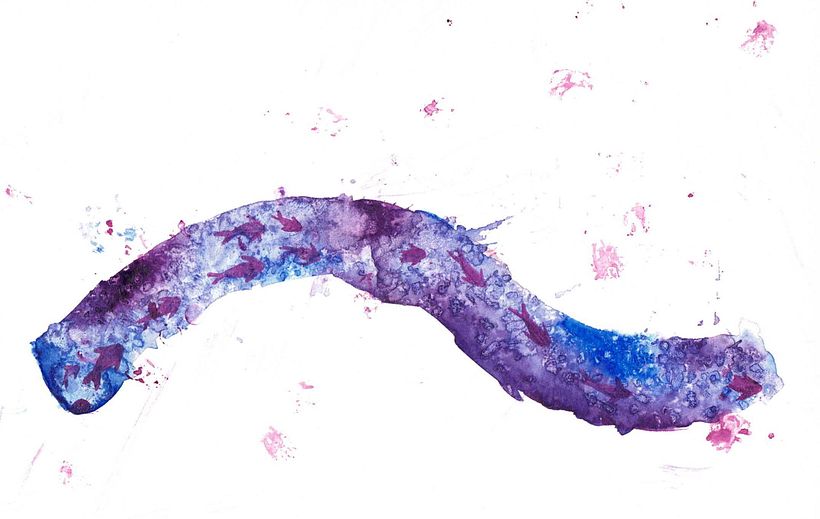 Mein Kursprojekt: Kreatives Sketching mit Aquarell für Anfänger 12