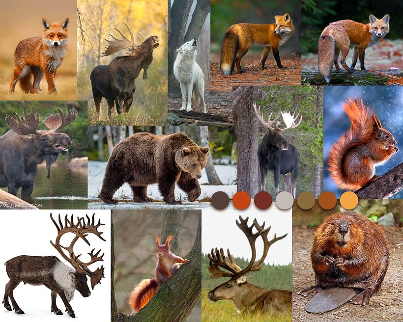 Motif forêt canadienne 2