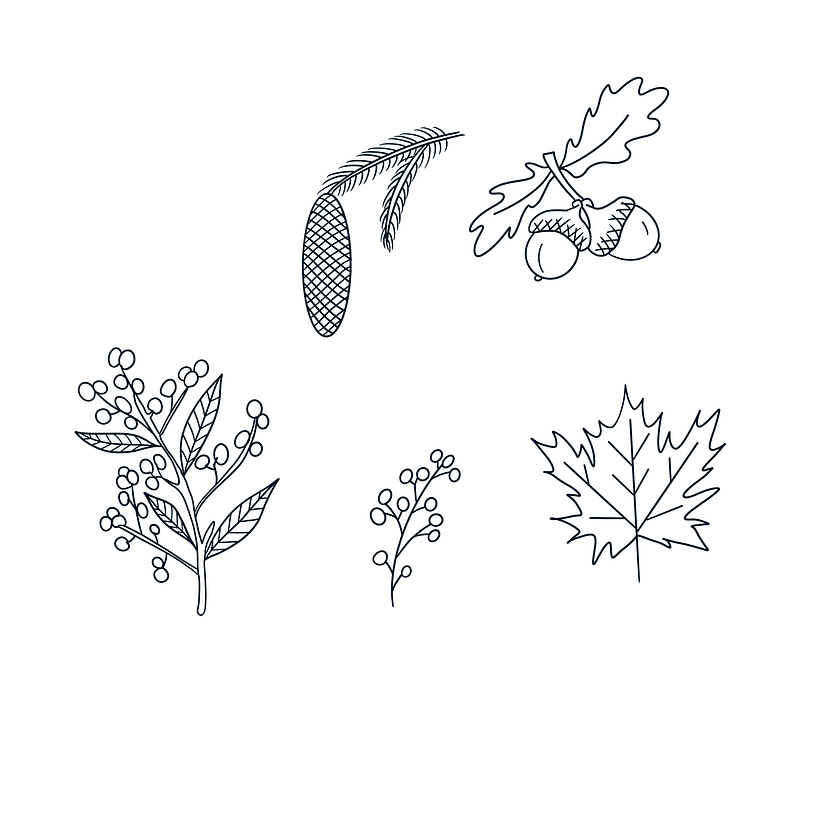 Motif forêt canadienne 6