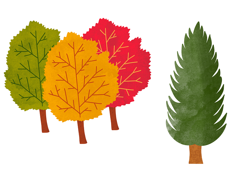 Motif forêt canadienne 9