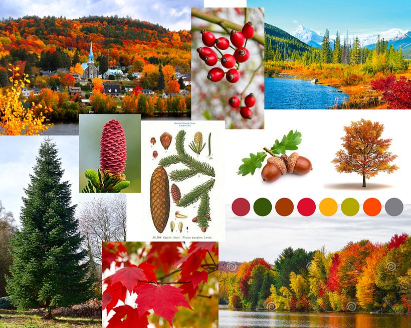 Motif forêt canadienne 1