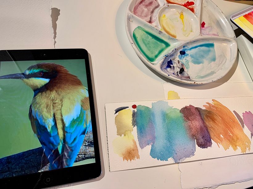 Paleta de colores
