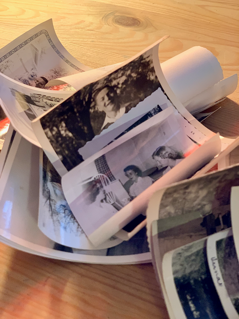 Close-up of photos from the bin