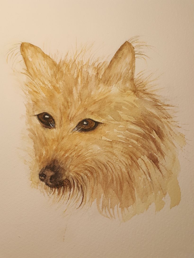 Second layer