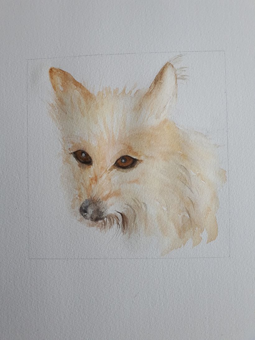 First layer