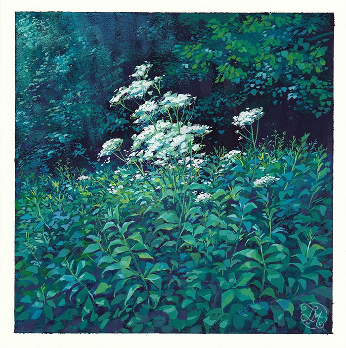 LUSH - Gouache Series 4