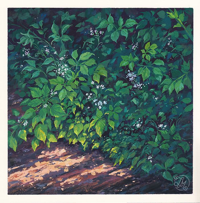 LUSH - Gouache Series 7