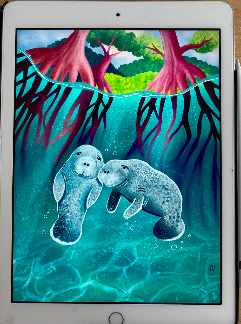 Final illustration